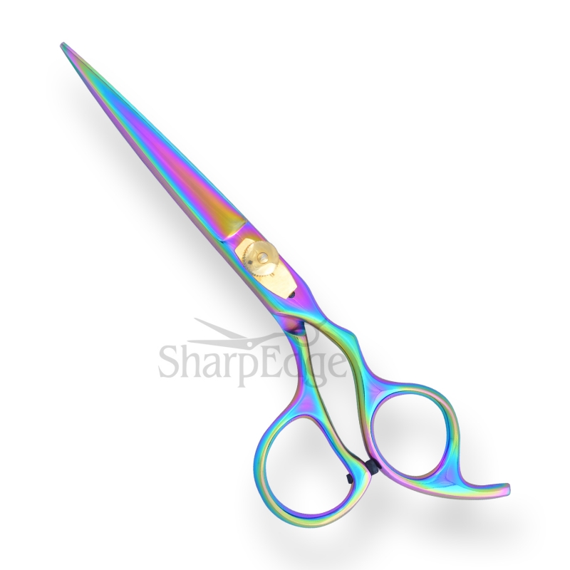 Professional Hair Dressing Scissors 